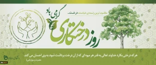 روز درختکاری گرامی باد.