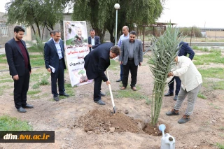 غرس دو اصله نخل مثمر در آموزشکده فنی و حرفه‌ای شهید چمران اهواز توسط دکتر خسرویان